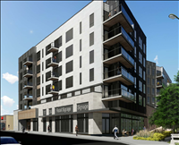 thumbnail of Nico II